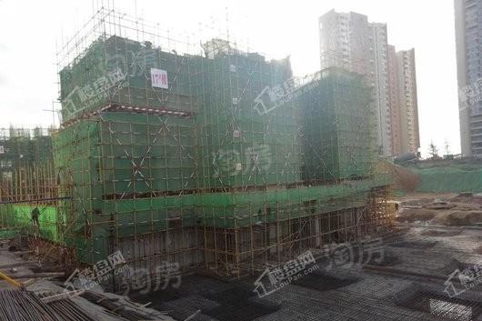 泰鸿听澜湾实景图