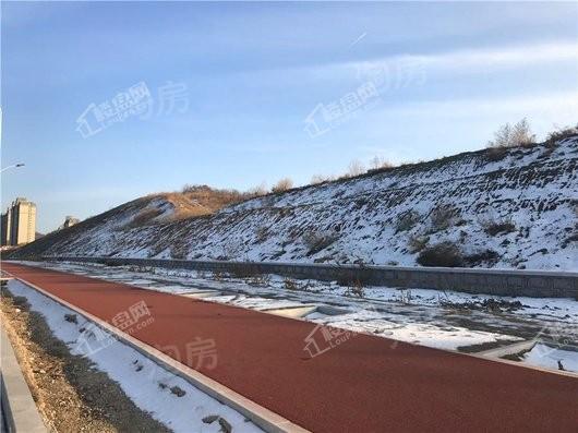 金科黄务项目实景图