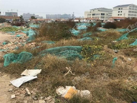 楮佳疃花园实景图