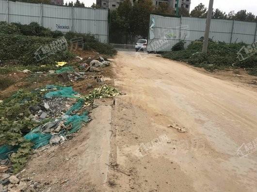 楮佳疃花园实景图