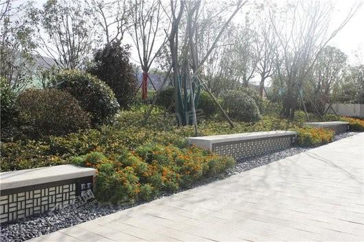 远洋风景实景图