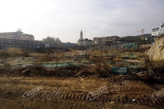 金象泰桐林路地块实景图