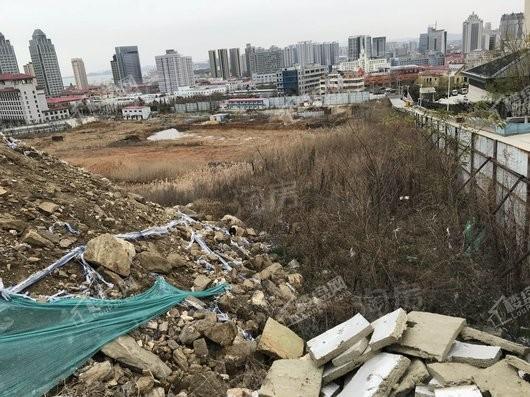 金象泰桐林路地块实景图