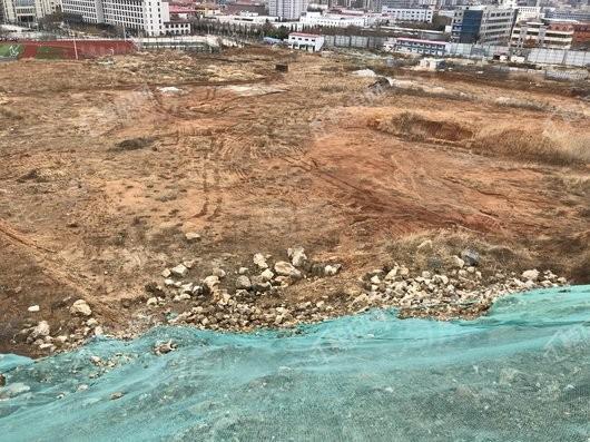 金象泰桐林路地块实景图