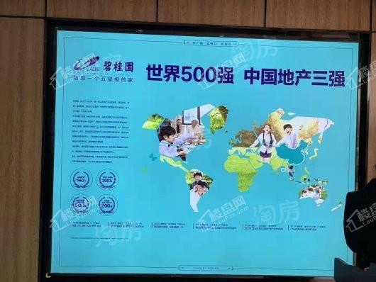 实景图