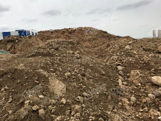 金象泰桐林路地块实景图