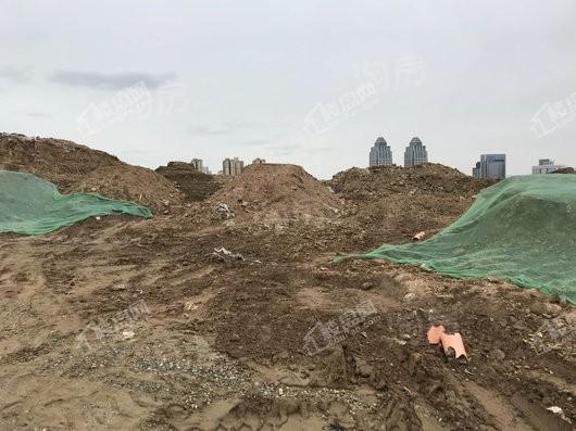 金象泰桐林路地块实景图
