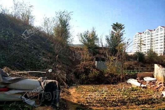 金象泰祈雨顶地块实景图