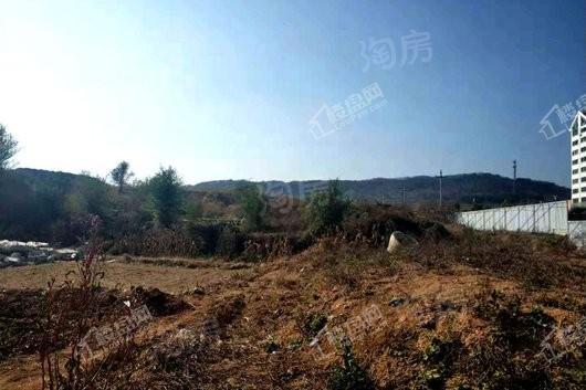 金象泰祈雨顶地块实景图