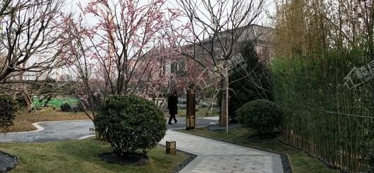 泰禾中州院子实景图