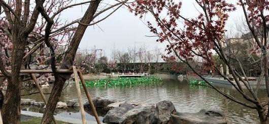 泰禾中州院子实景图