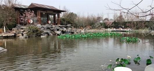 泰禾中州院子实景图