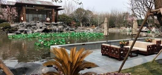 泰禾中州院子实景图