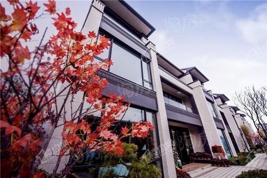 融创·清照府实景图