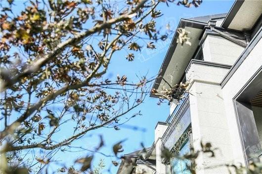 融创·清照府实景图