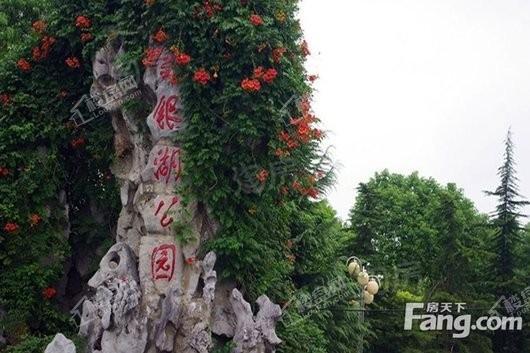 合一星光天地配套图