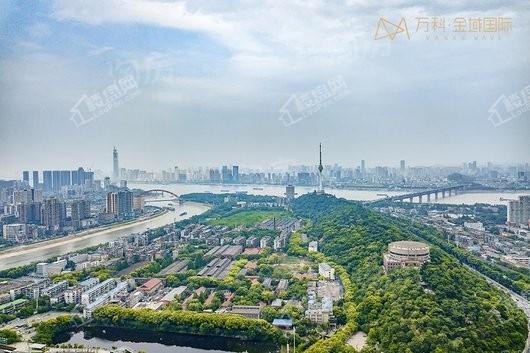 万科金域国际配套图