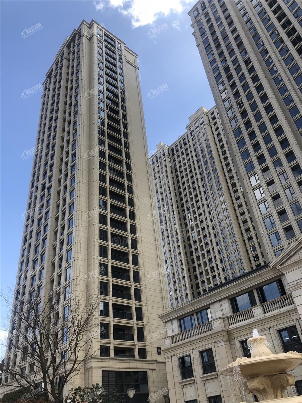 绿城·春江明月实景图