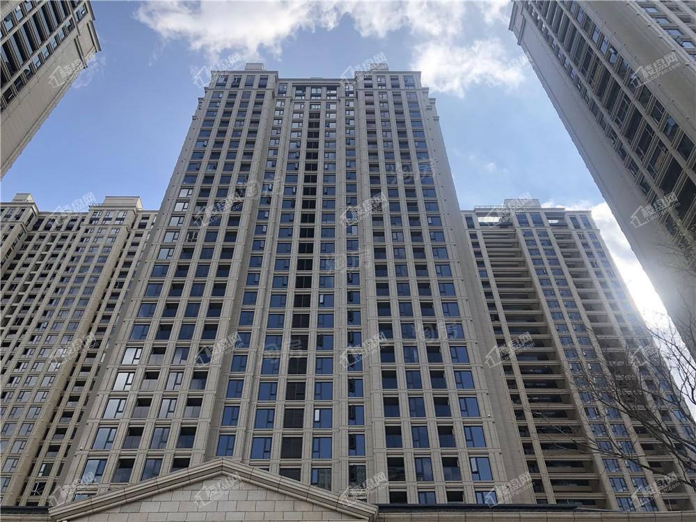 绿城·春江明月实景图