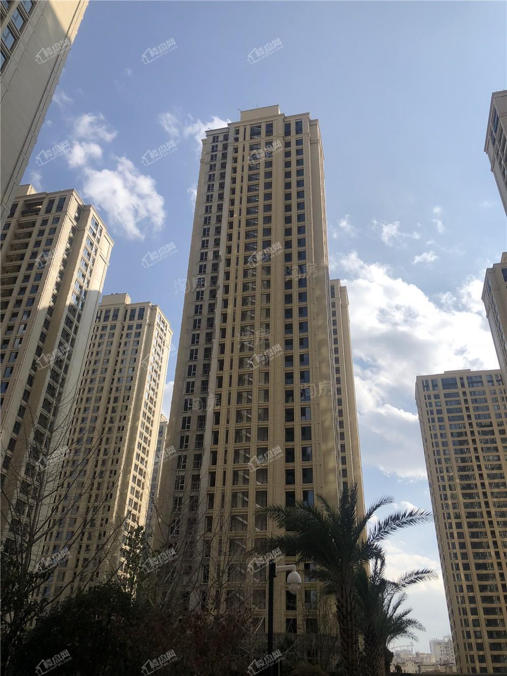 绿城·春江明月实景图