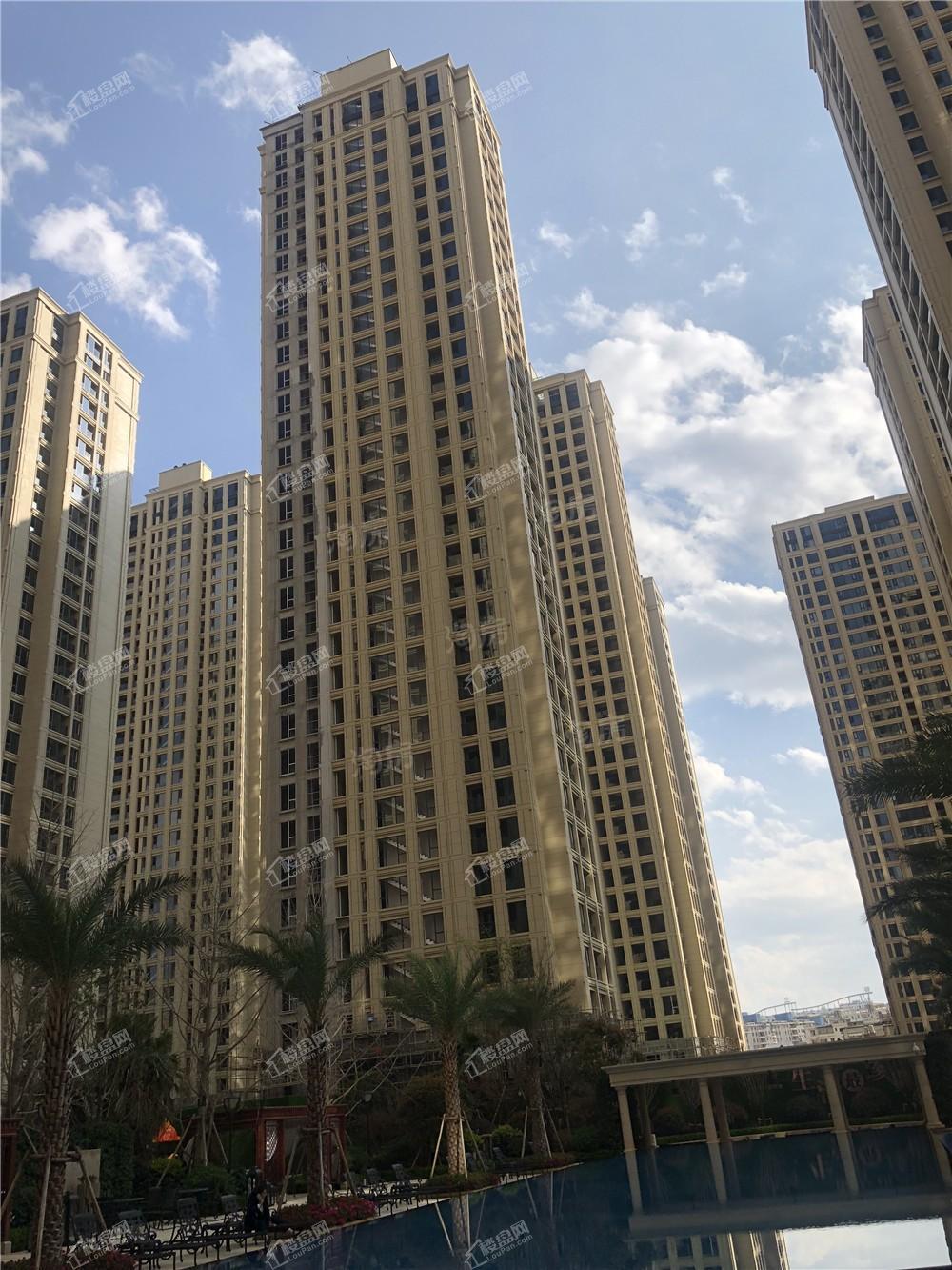 绿城·春江明月实景图