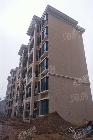 学林·博雅天城实景图