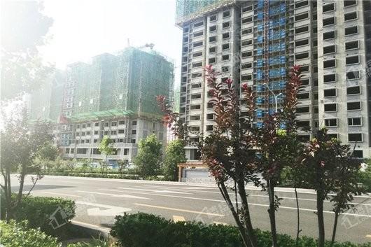 山景舜园实景图