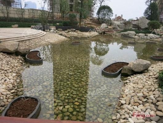 鹏湖湾实景图