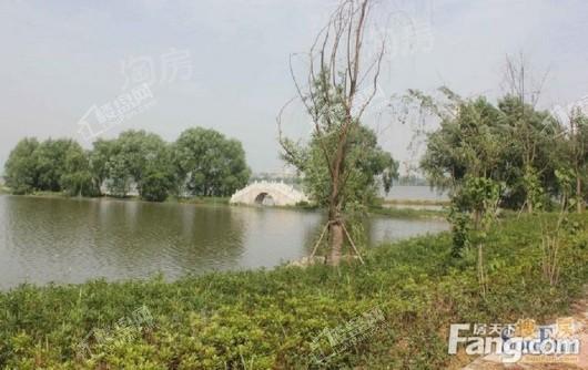 鹏湖湾实景图