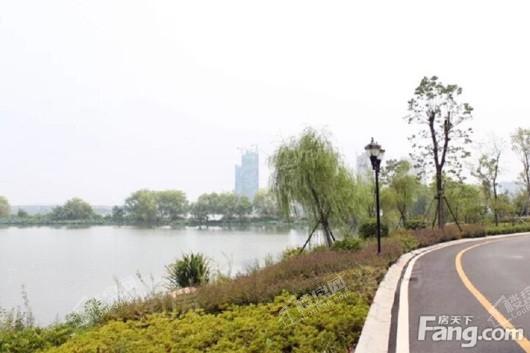 鹏湖湾实景图