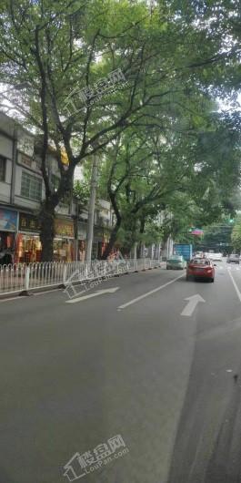 鹏湖湾实景图