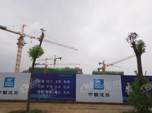 华发峰尚实景图
