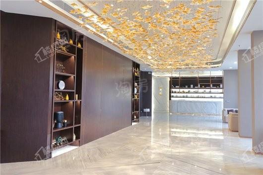 华生城·首府实景图
