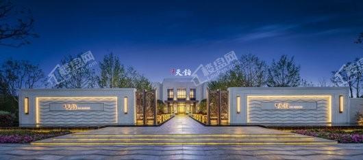 红星天铂效果图