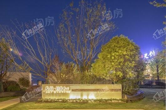 红星天铂效果图