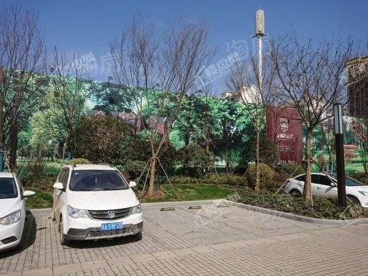 金地·保利·褐石公馆实景图