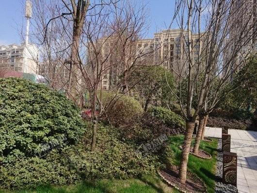 金地·保利·褐石公馆实景图
