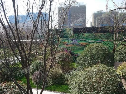 金地·保利·褐石公馆实景图