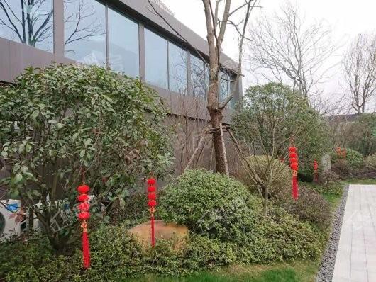 金地·保利·褐石公馆实景图