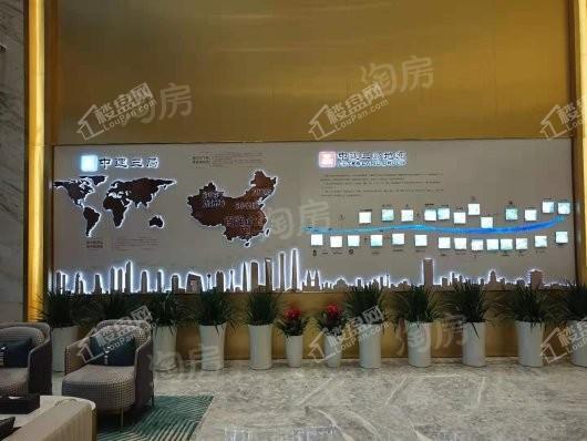 实景图