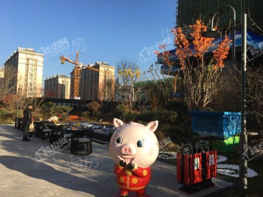碧桂园凤凰台实景图