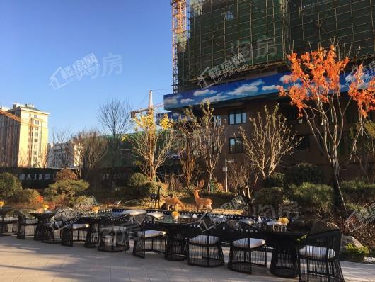 碧桂园凤凰台实景图
