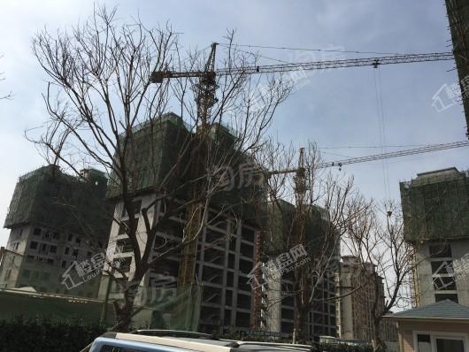 金庆桂花园实景图