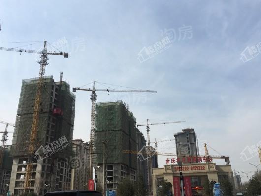 金庆桂花园实景图