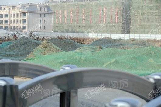 保利海棠实景图