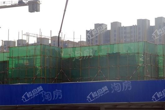 保利海棠实景图