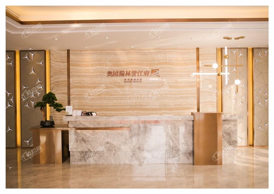 奥园瀚林誉江府实景图