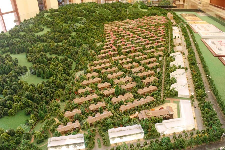龙湖滟澜山 尘林间实景图