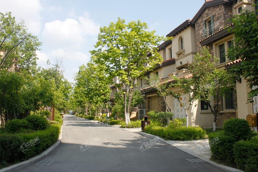 龙湖滟澜山 尘林间实景图