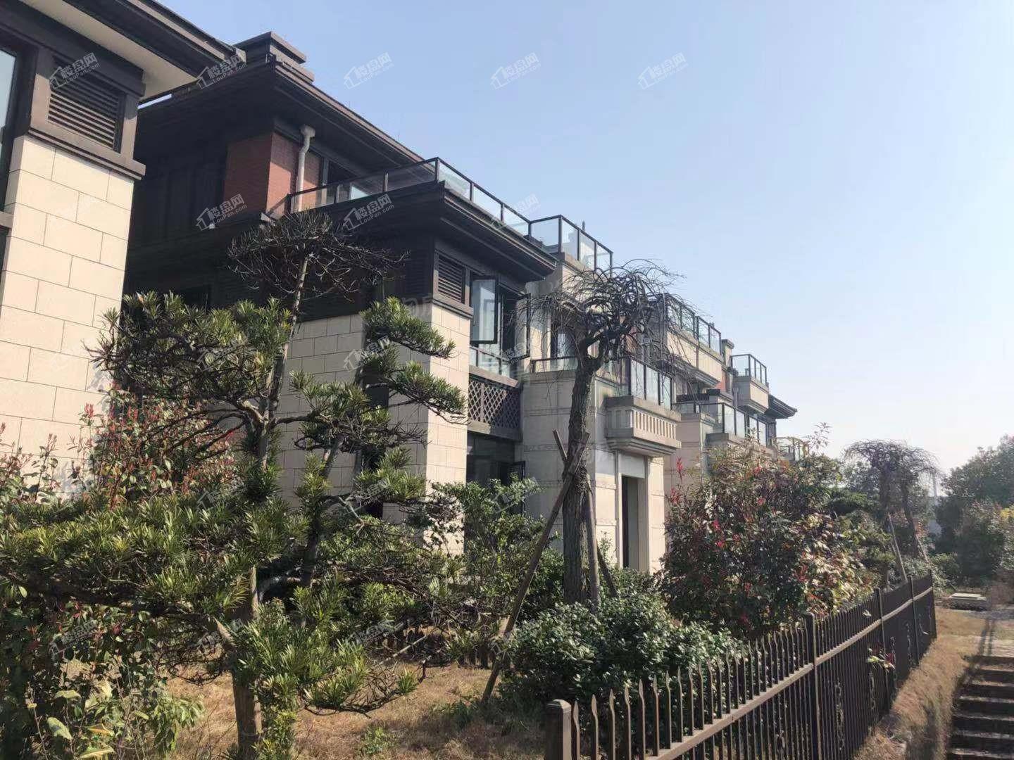 鉴湖印象实景图